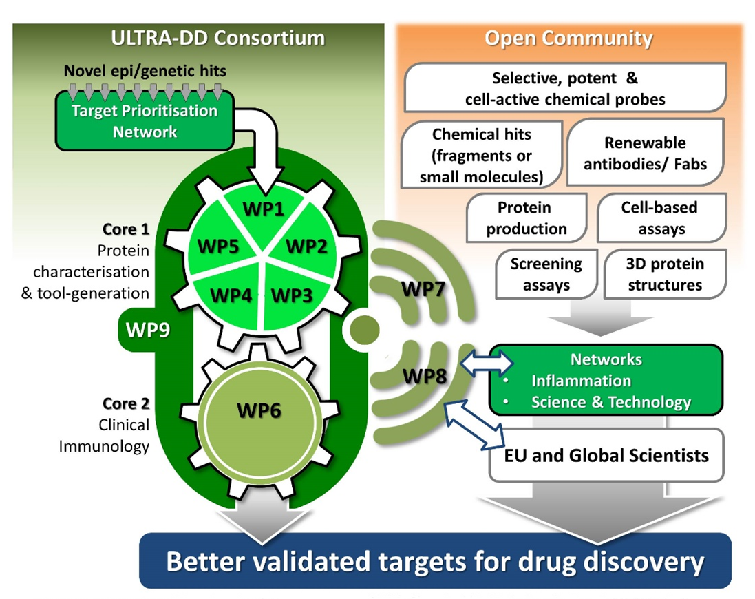 ULTRA-DD organisation chart